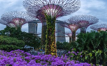 Singapore January 2016: Blue Hour View Of Super Tree Grove At Gardens By The Bay. Spanning 101 Hectares Of Reclaimed Land In Central Singapore, Adjacent To The Marina Reservoir